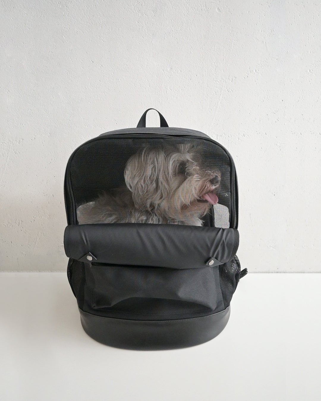 キャリーバッグリュック犬OKAGO Mサイズ帆布✖️レザー